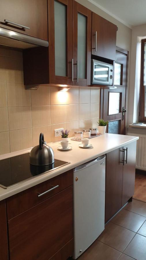 Kaizen Apartament Krynica-Zdrój Exteriör bild